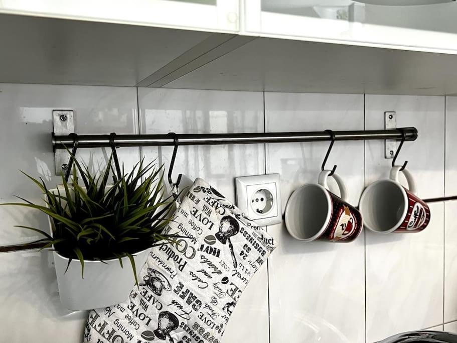 Tarino Apartman